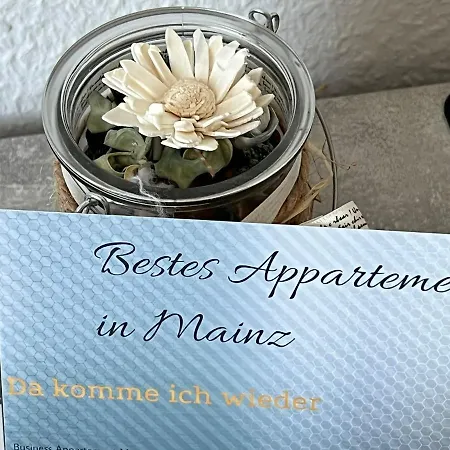 Aparthotel Business *